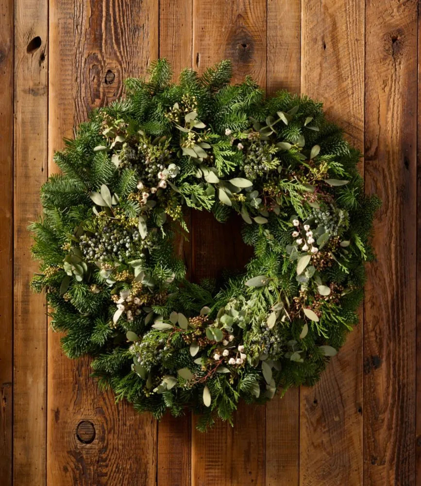 Fresh Evergreen Eucalyptus Wreath, 24"