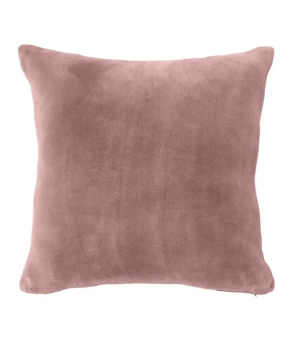 Wicked Plush Throw Pillow